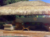 Bali Huts